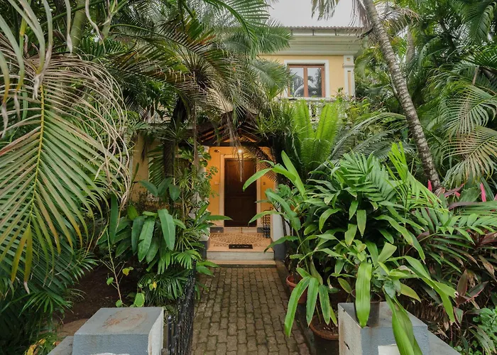 The Bumblebee- Serene 3Bhk Villa- Candolim, Goa By Staymonkey